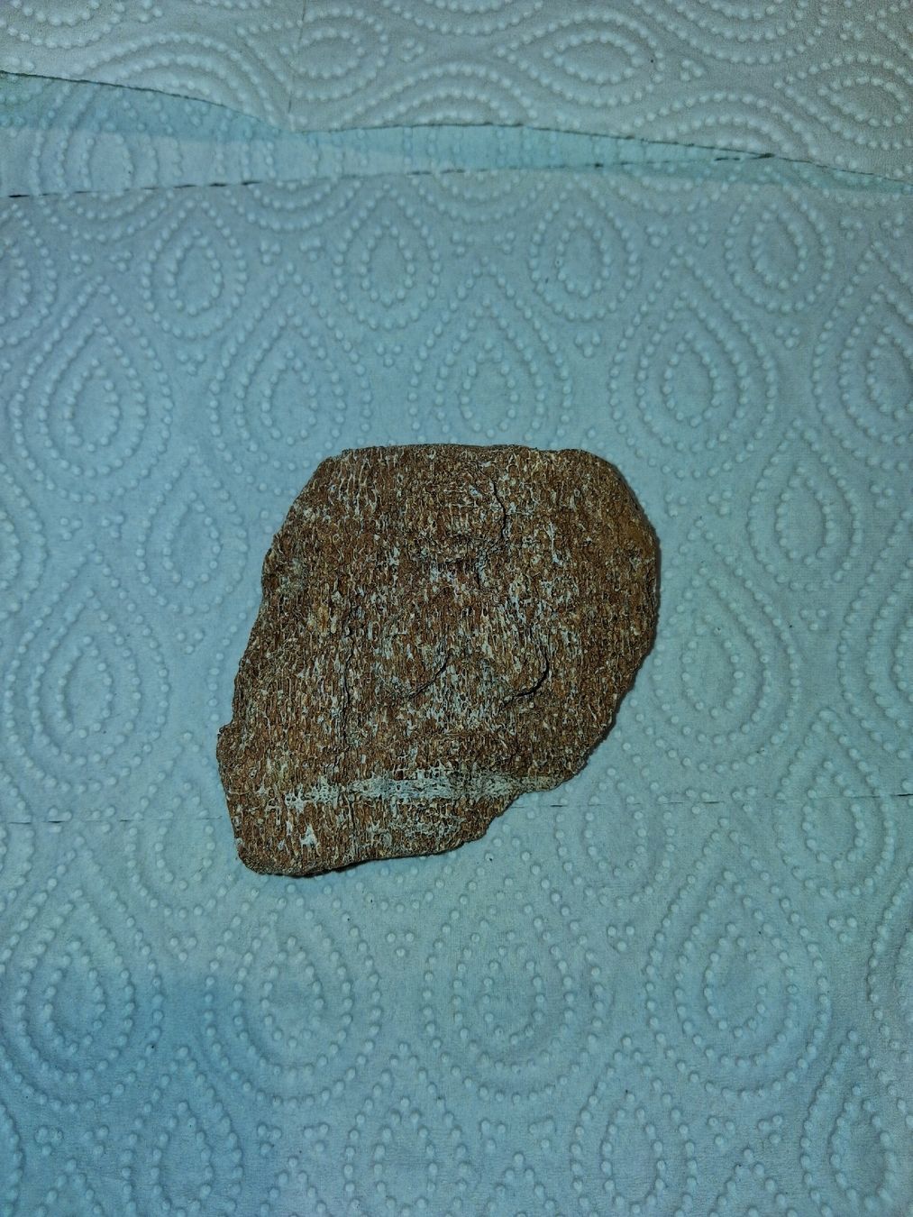 Sculture & Statue: Venusfragment aus Mammutknochen – Nuovo (secondo la descrizione) da Reiden venduto da jasi029 2
