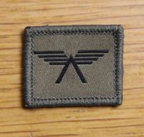 Fliegersoldat Funktionsabzeichen Klett Armee XXI
