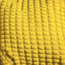 Profile image of MrMoin