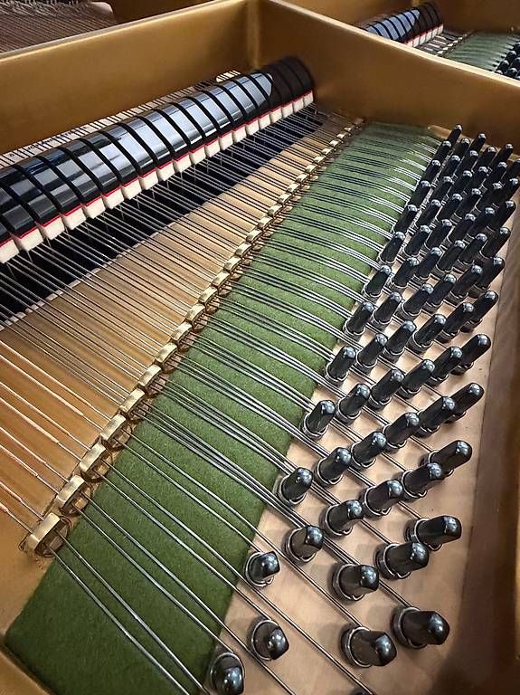Musikinstrumente: C. Bechstein L-167 – Gebraucht aus Bern von Heutschipiano 2