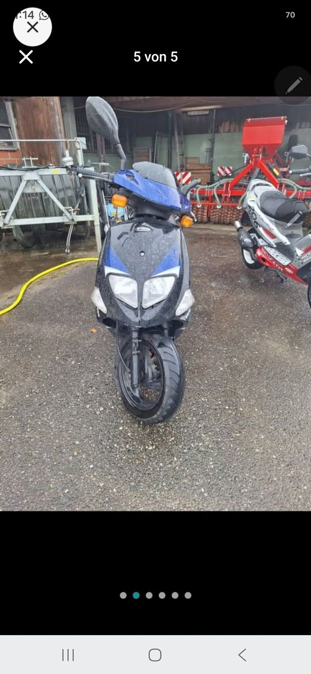 Pgo Scooters: Roller PGO T-Rex 50 blau/schwarz  – Défectueux à Dachsen par ott_86ff