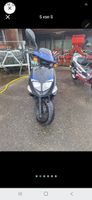Roller PGO T-Rex 50 blau/schwarz 