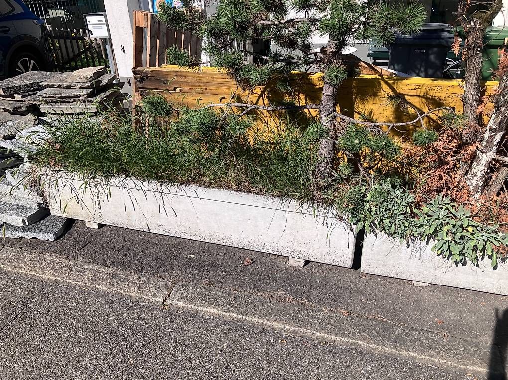 Eternit Vasi per fiori: 5xGrosse Blumenkübel – Usato da Zürich venduto da Jora008 1