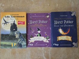 Book bundle - 3x inoffizielle Harry Potter Bücher