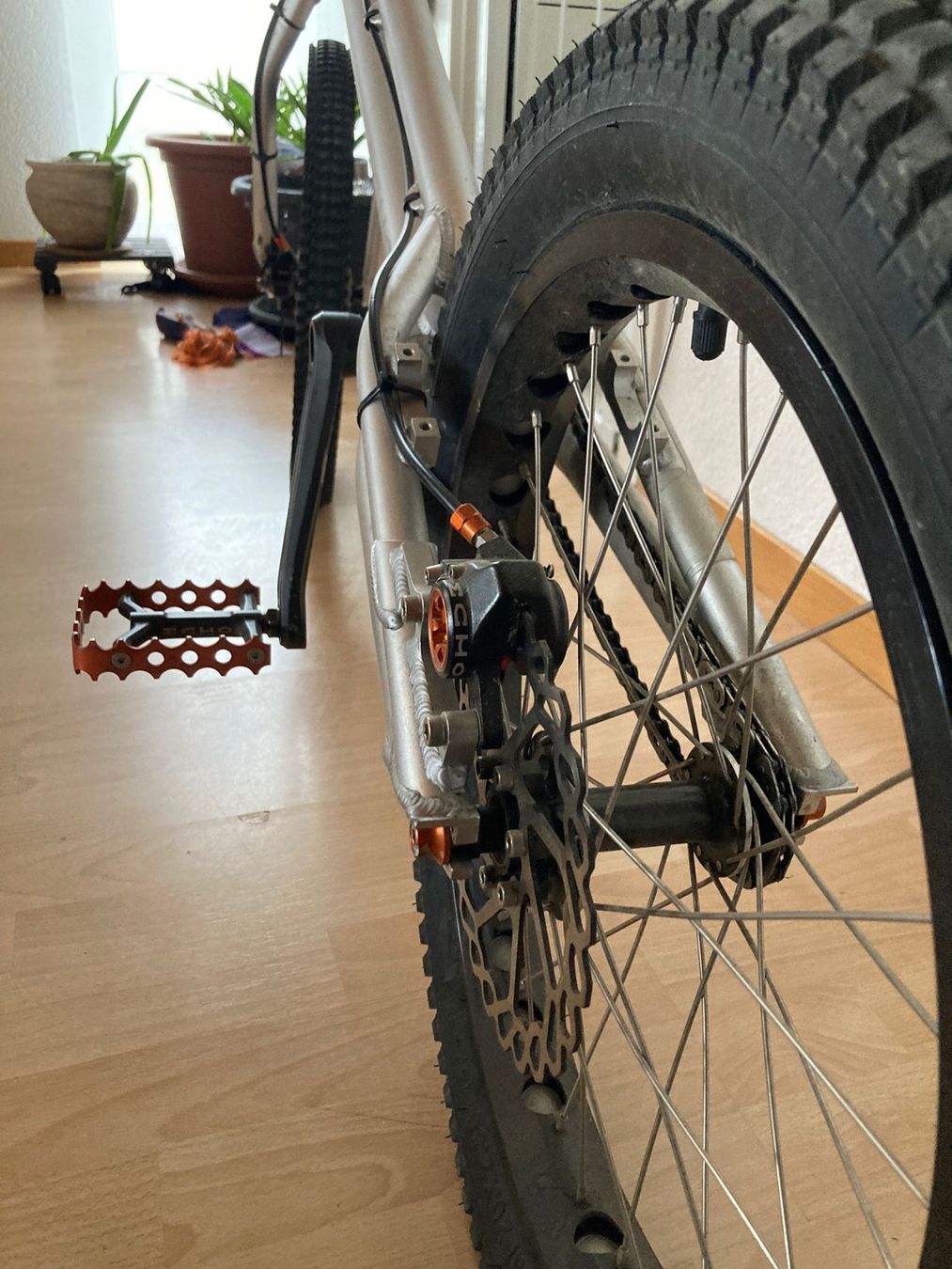 Velos: Kunstbike echolite – Gebraucht aus Frauenfeld von manuburg 3
