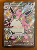 Pokemon Knuddeluff (Versand gratis)