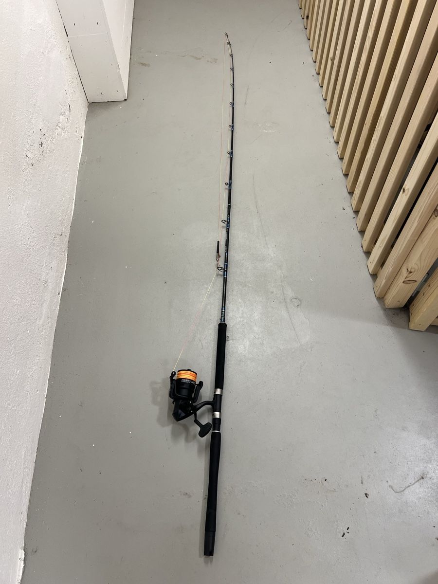 Canne da pesca: Welsrute ron Thompson  – Nuovo (secondo la descrizione) da Kirchberg BE venduto da Fisherman95