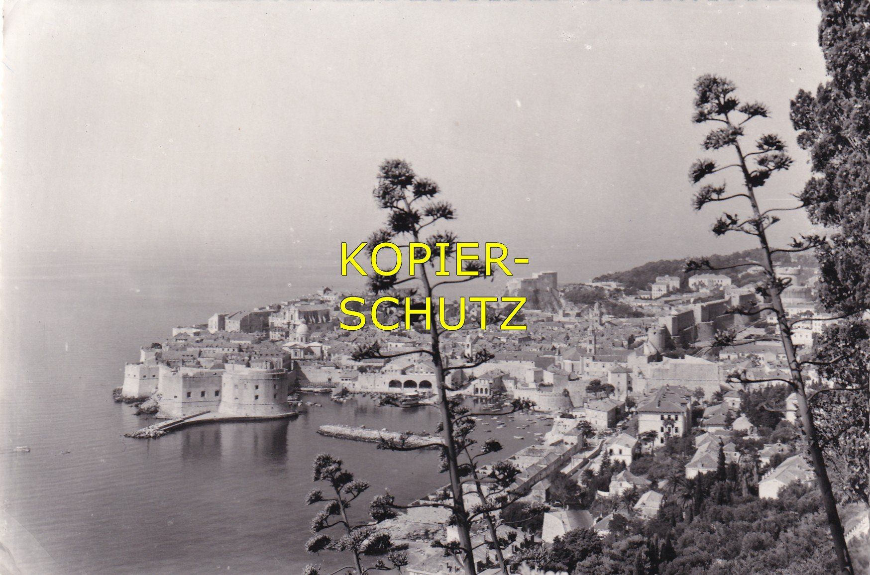 Cartoline postali: Dubrovnik /mp – Usato da Hombrechtikon venduto da Rudolf07