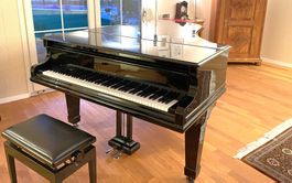 C. Bechstein Flügel B 203 (1922) – renoviert, schwarz polier