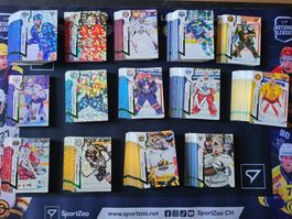 🏒 SportZoo National League 24/25 Series 1 – Green Parallel
