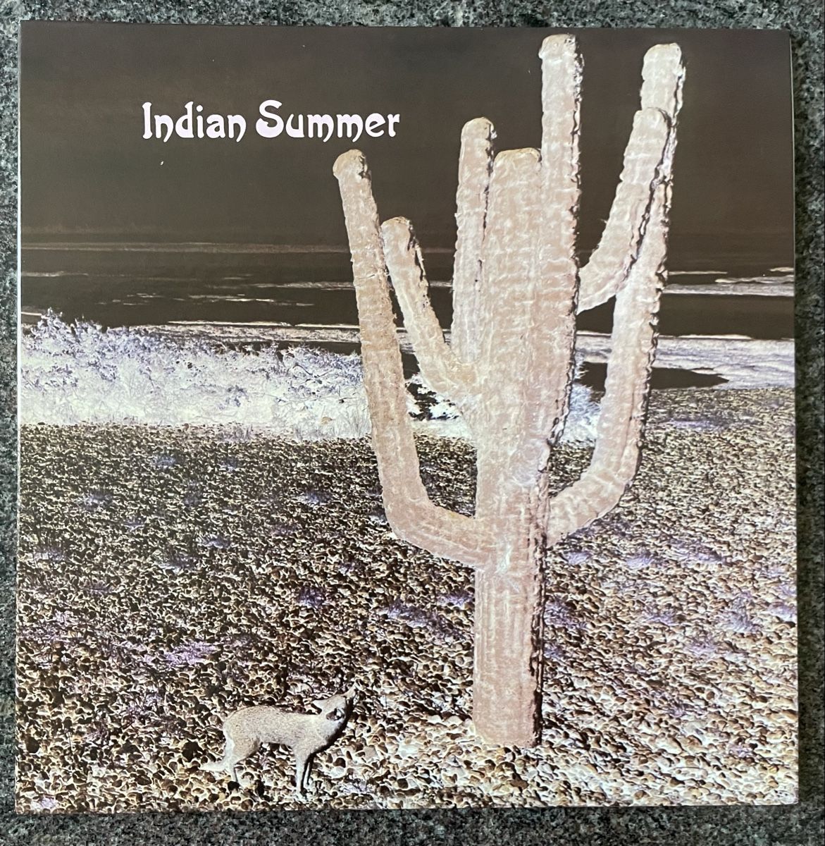 Dischi in vinile: Indian Summer - Same - AKARMA Vinyl LP – Usato da Olten venduto da Bluespapst