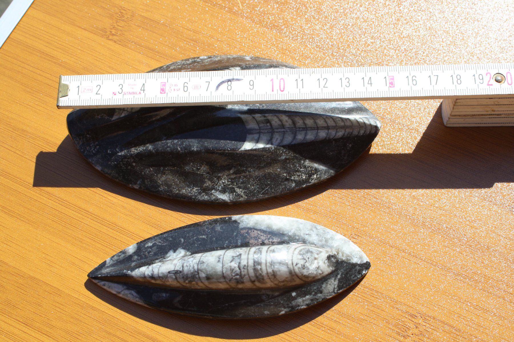 Fossili: 3 SCHÖNE STEINE POLIERT FOSSIL ECHT ?? – Usato da Wauwil venduto da Pneuedy 7
