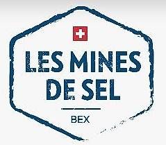 Biglietti: 2 Tickes/Billets Les Mines de Sel BEX – Nuovo (secondo la descrizione) da Bottmingen venduto da Dadz