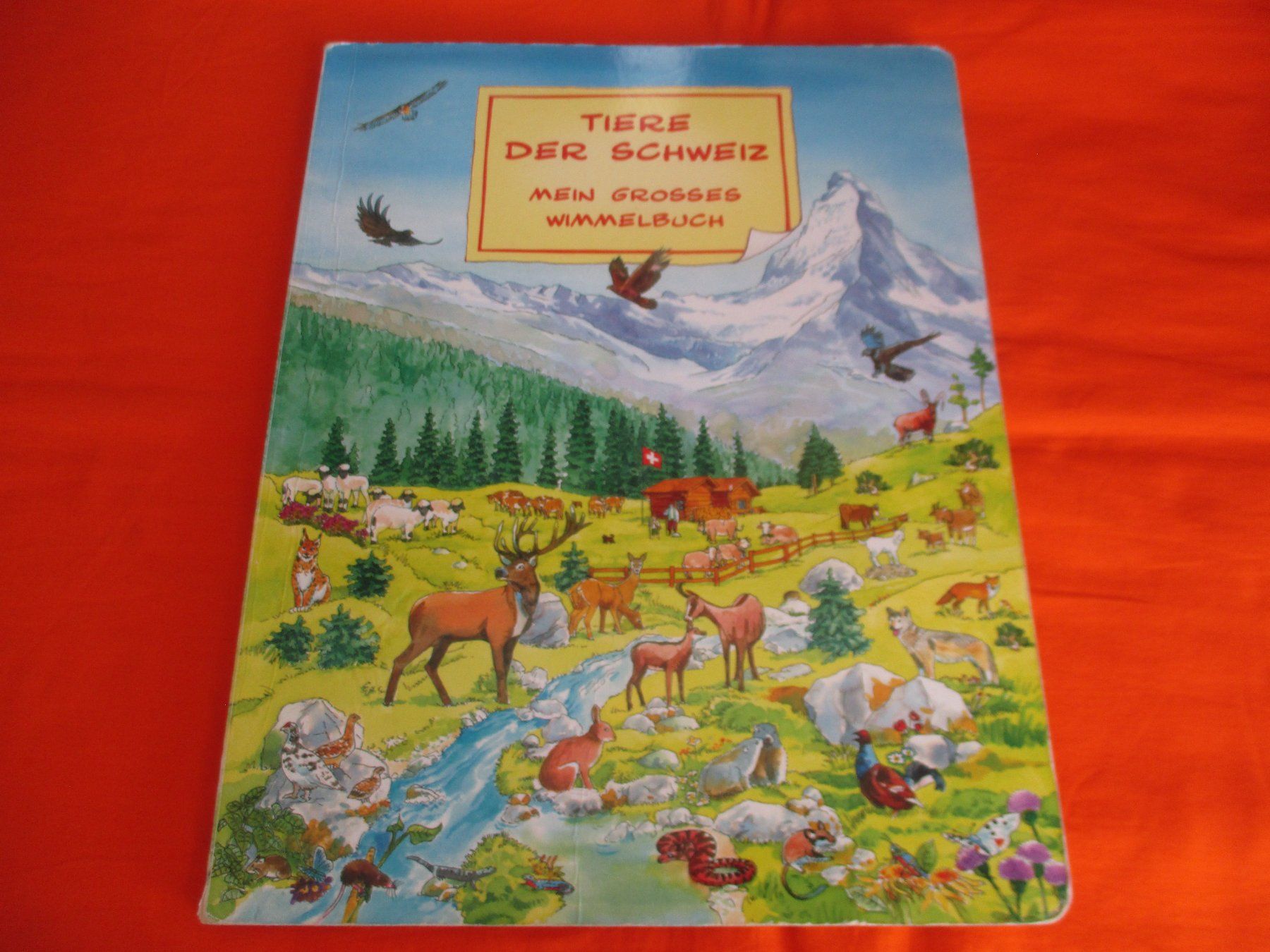 Libri: Wimmelbuch Tiere der Schweiz – Usato da Birsfelden venduto da alles-muss-raus
