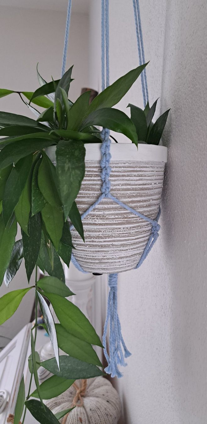Tutte le decorazioni: Handgemachter Makramee-Blumenampel NEU!!! – Nuovo (secondo la descrizione) da Waldenburg venduto da Sysilu 1