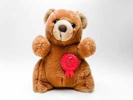 Teddy Bär Plüsch gebraucht Wallace Little Friends Collection