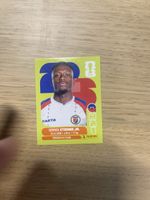 Panini FIFA WC HAI 15