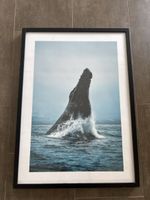IKEA RIBBA Bild 40x50 cm schwarz Holzrahmen Pappe