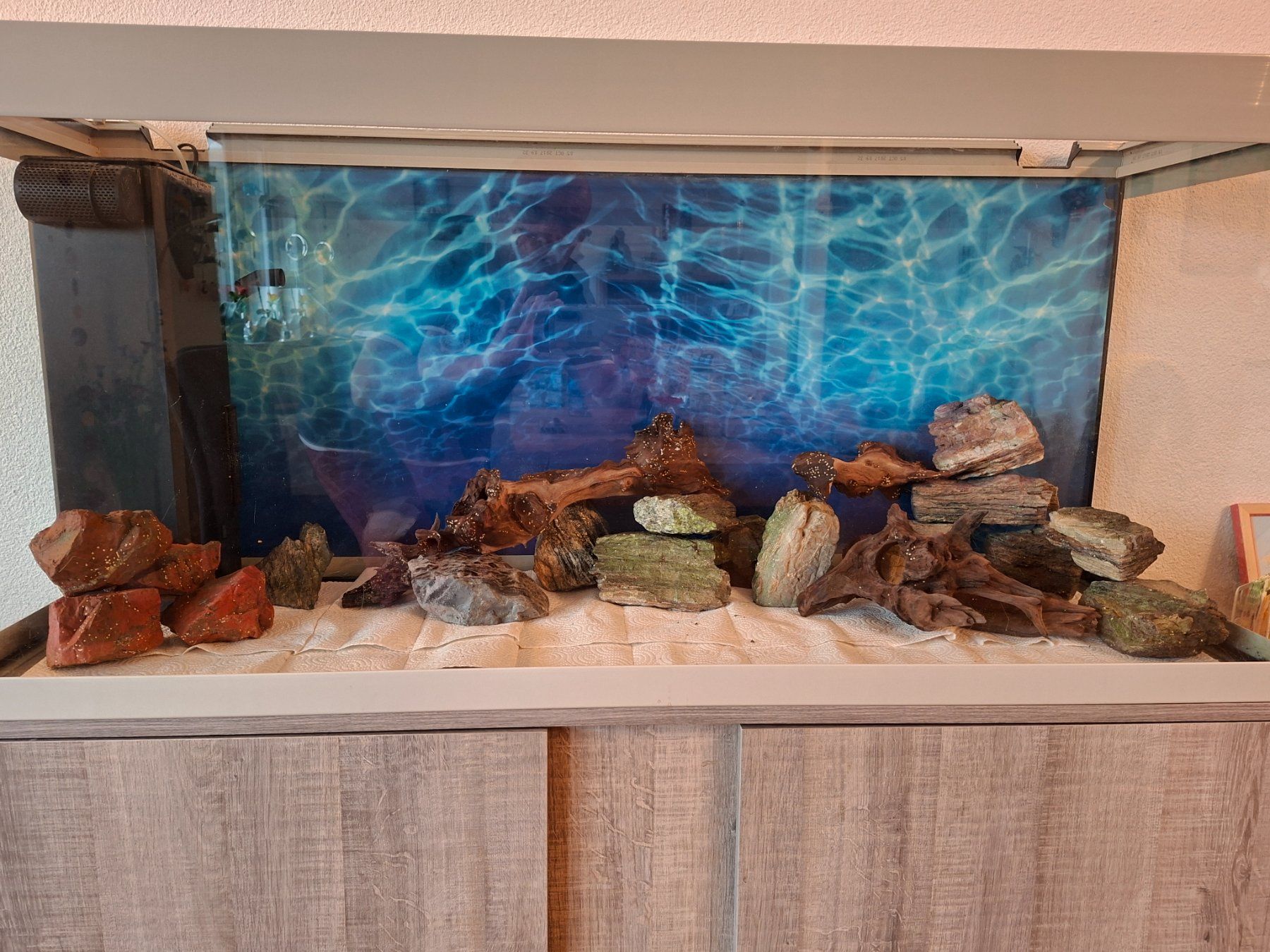 Eheim Acquari: Aquarium Eheim Vivaline LED 240 l – Usato da Dietikon venduto da Chris_swiss 1
