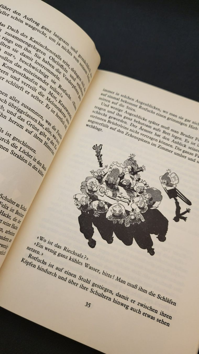 Bücher: Buch ROTFUCHS Jules Renard – Gebraucht aus Basel von spinne02 5