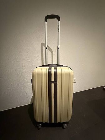 Samsonite Check-in Luggage Lite Cube 68L Spinner Ivory Gold (Gebraucht