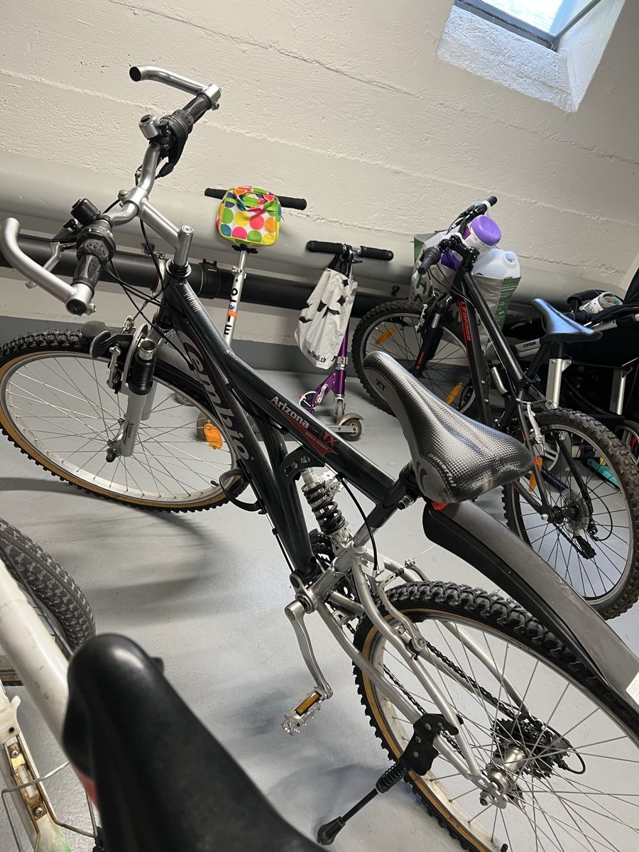Biciclette: zwei Mountainbikes – Usato da Zürich venduto da Nelsonpires 1