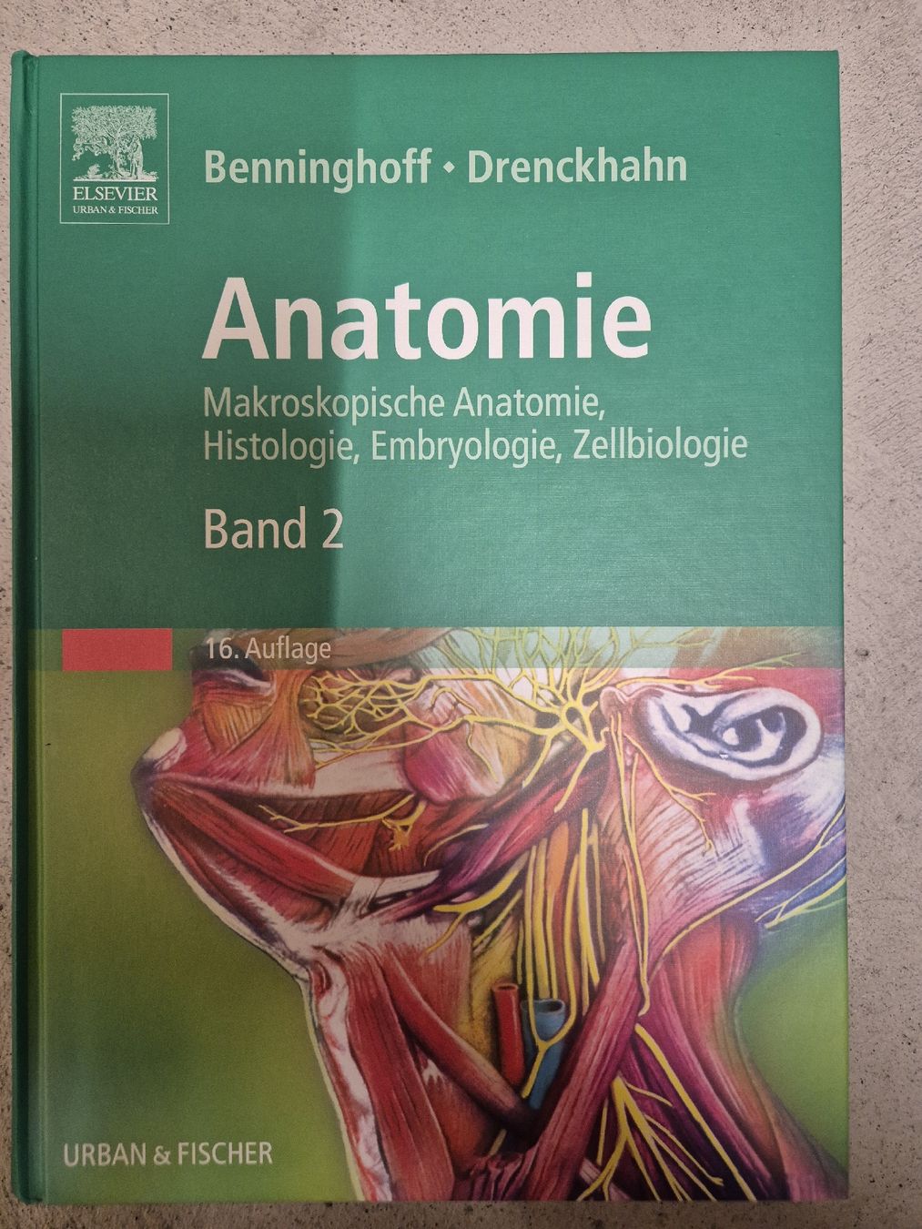 Bücher: Lehrbuch Anatomie Band 2  – Neu (gemäss Beschreibung) aus Baden von kae_n69w