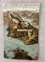 Ansichtskarte Bürgenstock Vierwaldstättersee um 1910