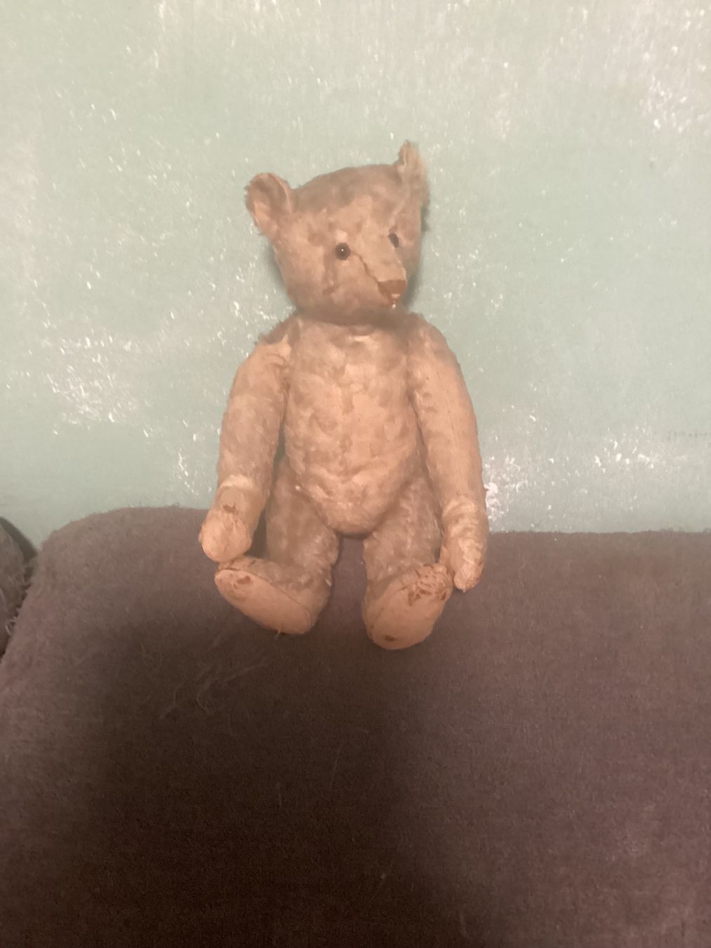 Steiff Giocattoli: ANTIKER STEIFF TEDDY 1910/1920 – Usato da Münchenstein venduto da NoSu98 1