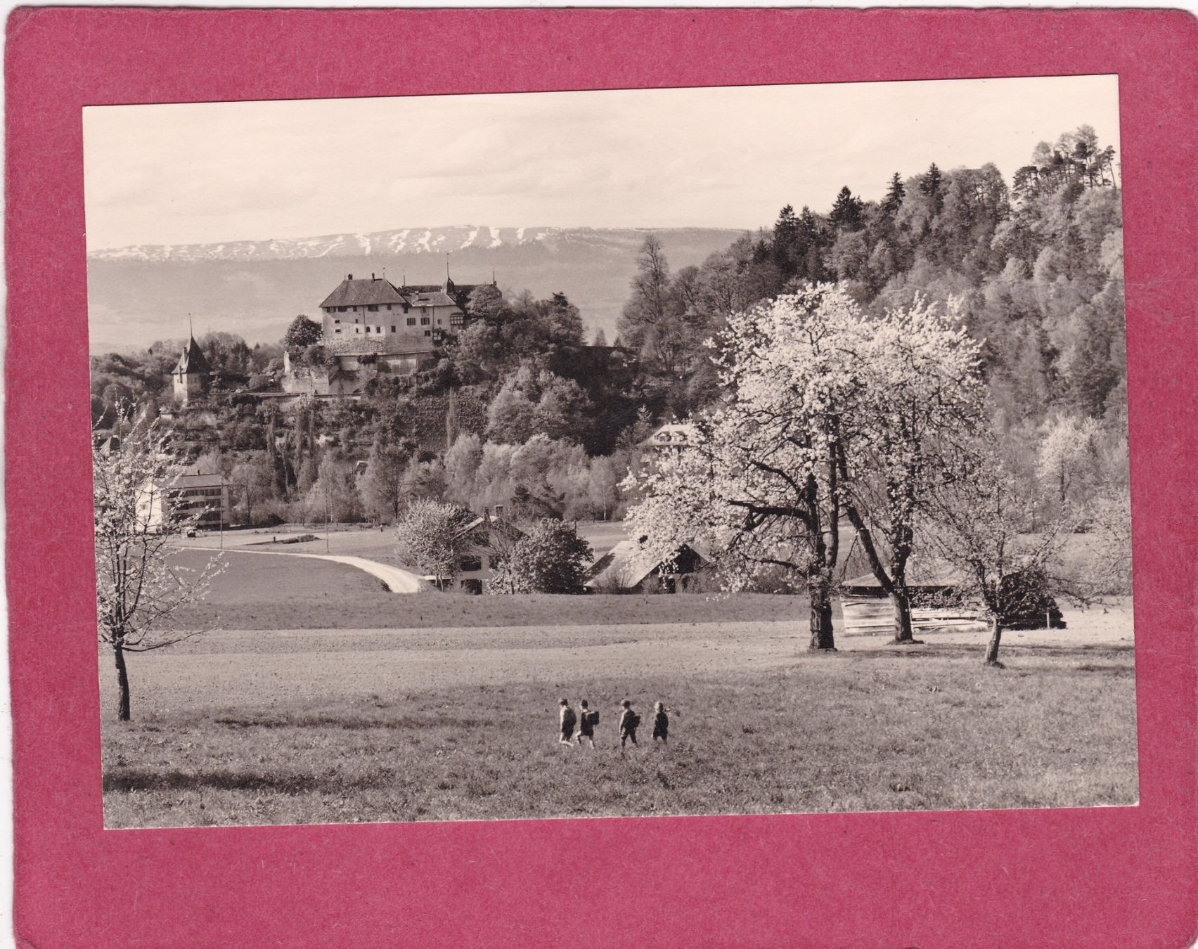 Cartoline postali: Laupen BE – Usato da Herisau venduto da Lisegrat2008