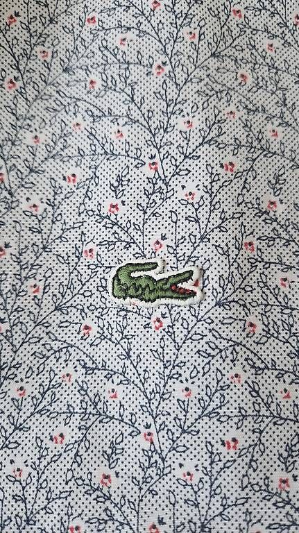 Lacoste Camicie: Hemd Lacoste – Usato da Horgen venduto da san_5vb7 3