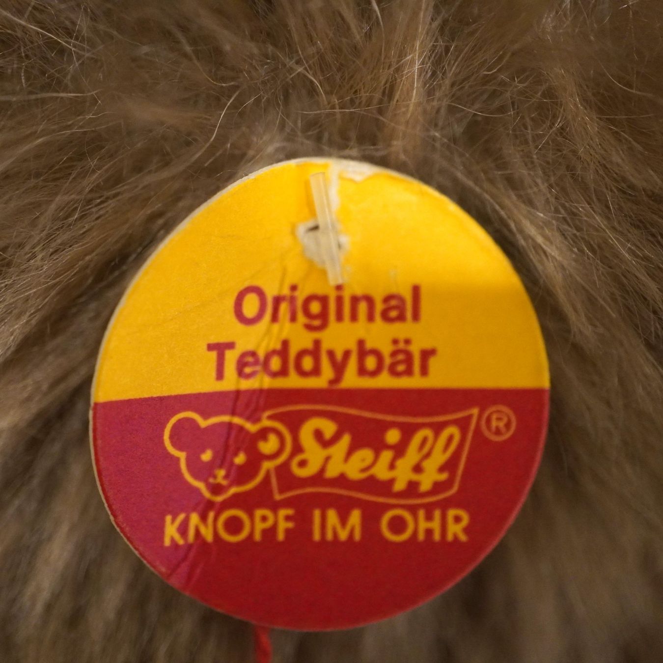 Steiff Giocattoli: Original Teddybär Steiff Caramel gross (HE220) – Usato da Basel venduto da B.W.B. 3