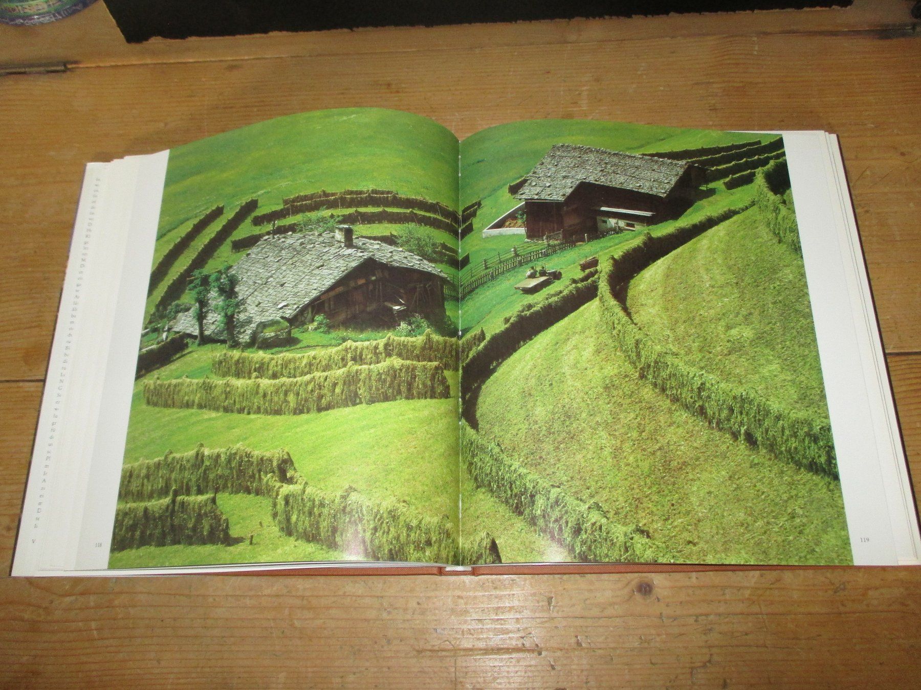 Livres: Der Bergbauernhof – D'occasion à Flims - Dorf par Stagediver 6