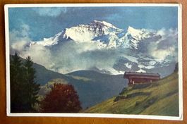 Jungfrau im Abendlicht - AK - E. Gyger