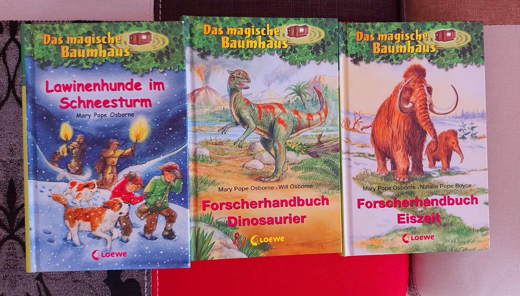 Libri: 3 Bücher "Das magische Baumhaus" – Usato da Ried-Brig venduto da Pimlico