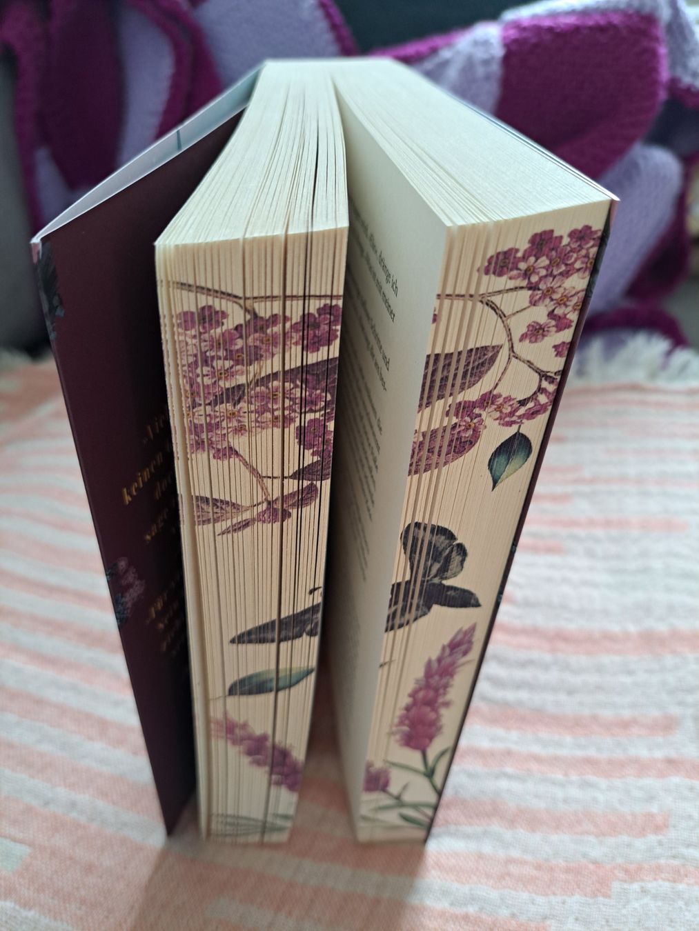 Bücher: Ruby Braun - Grace, Band 2 – Gebraucht aus Lenggenwil von ire_r5dy 1