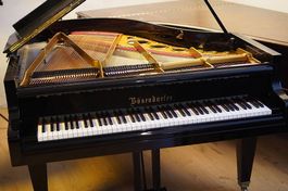 Flügel Bösendorfer 170