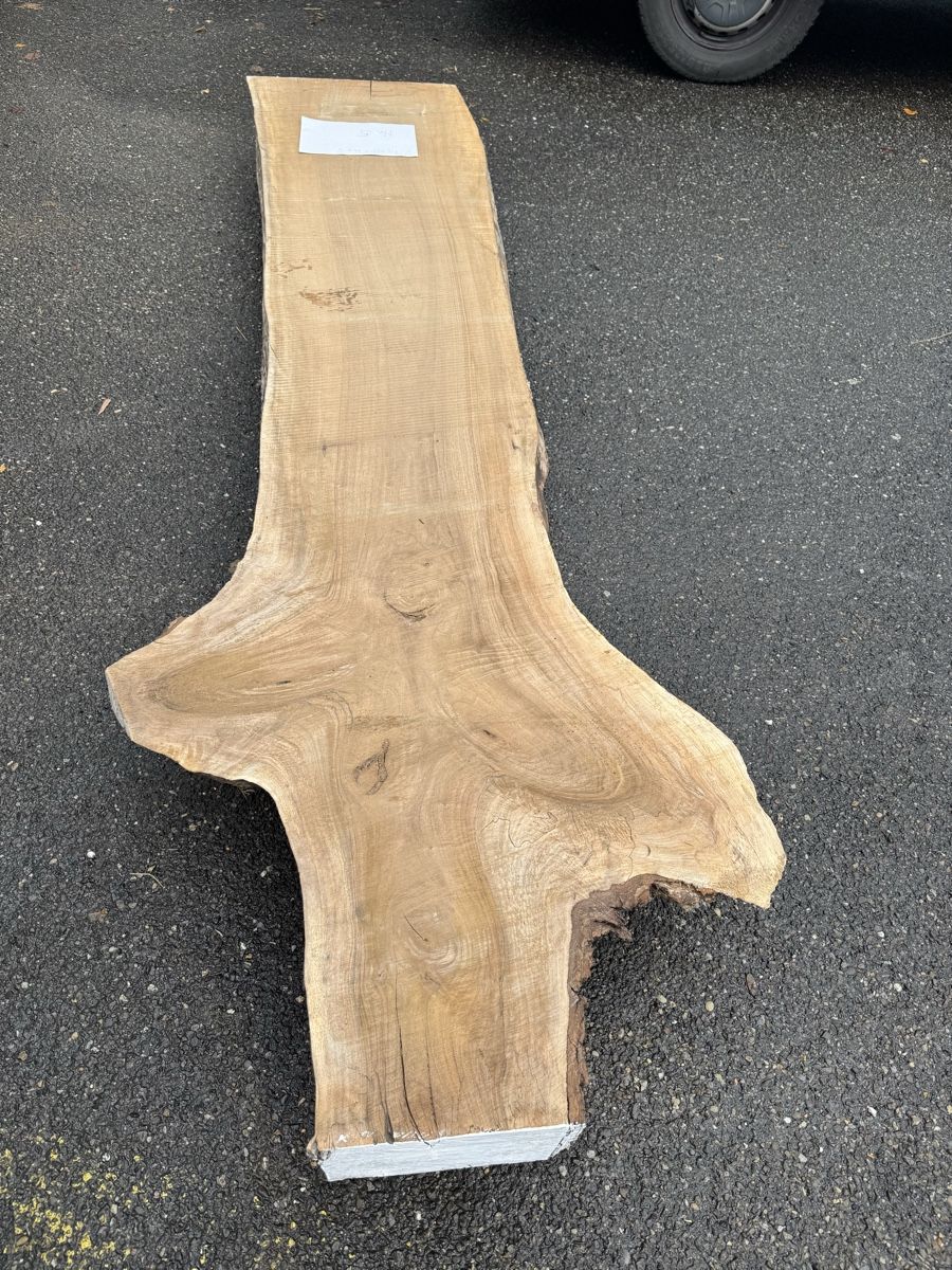 Articoli in legno: Nussbaum Klotzbrett 280  cm lang! – Usato da Gränichen venduto da onkel_xxl 4