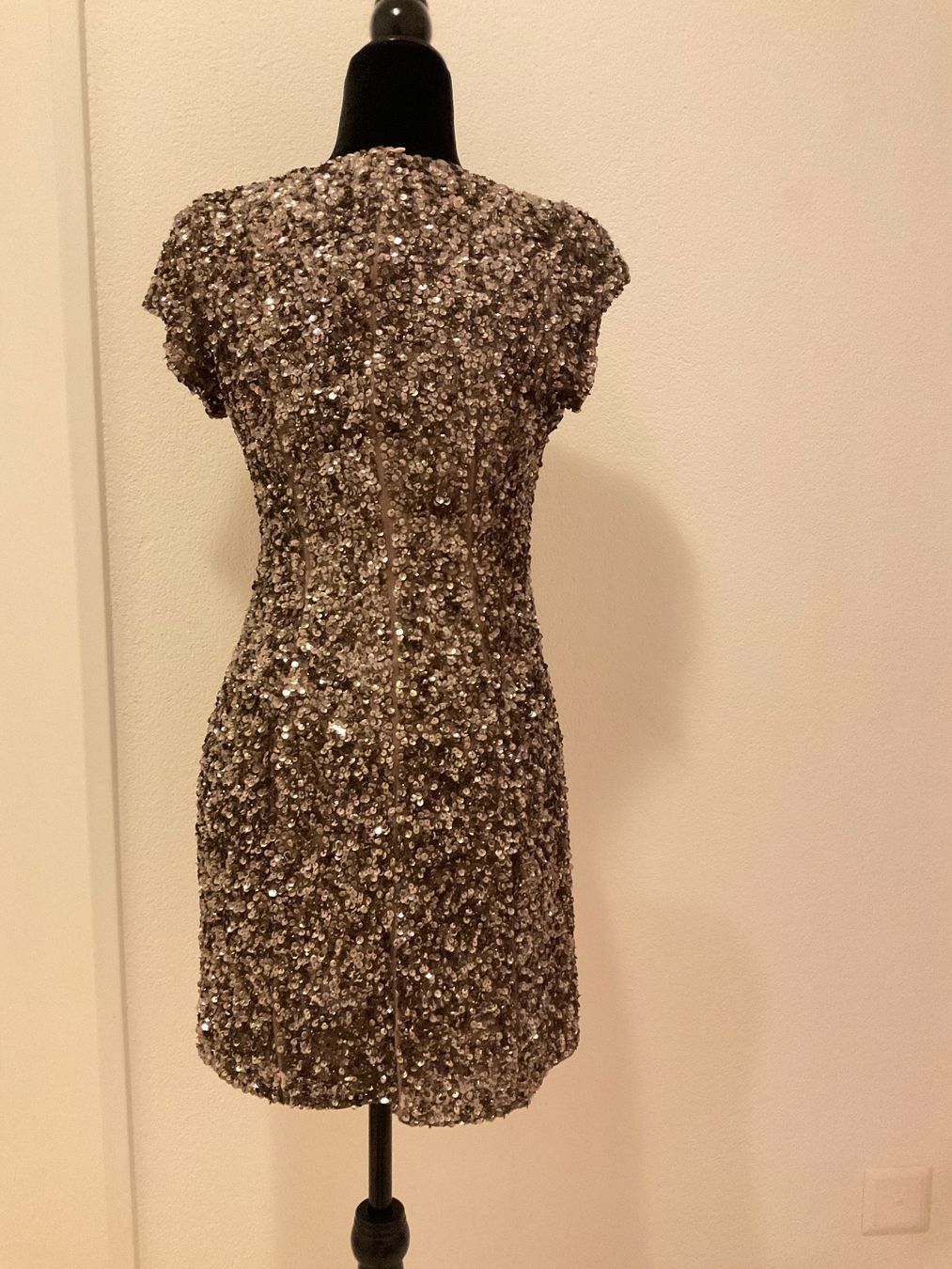 Kleider: Parker Serena Sequined Seide Kleid – Gebraucht aus Zürich von Katy555 1