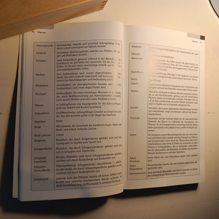 Baumrinden Schutzband 8cm X 100m - Atmungsaktiv Für Obstbäume