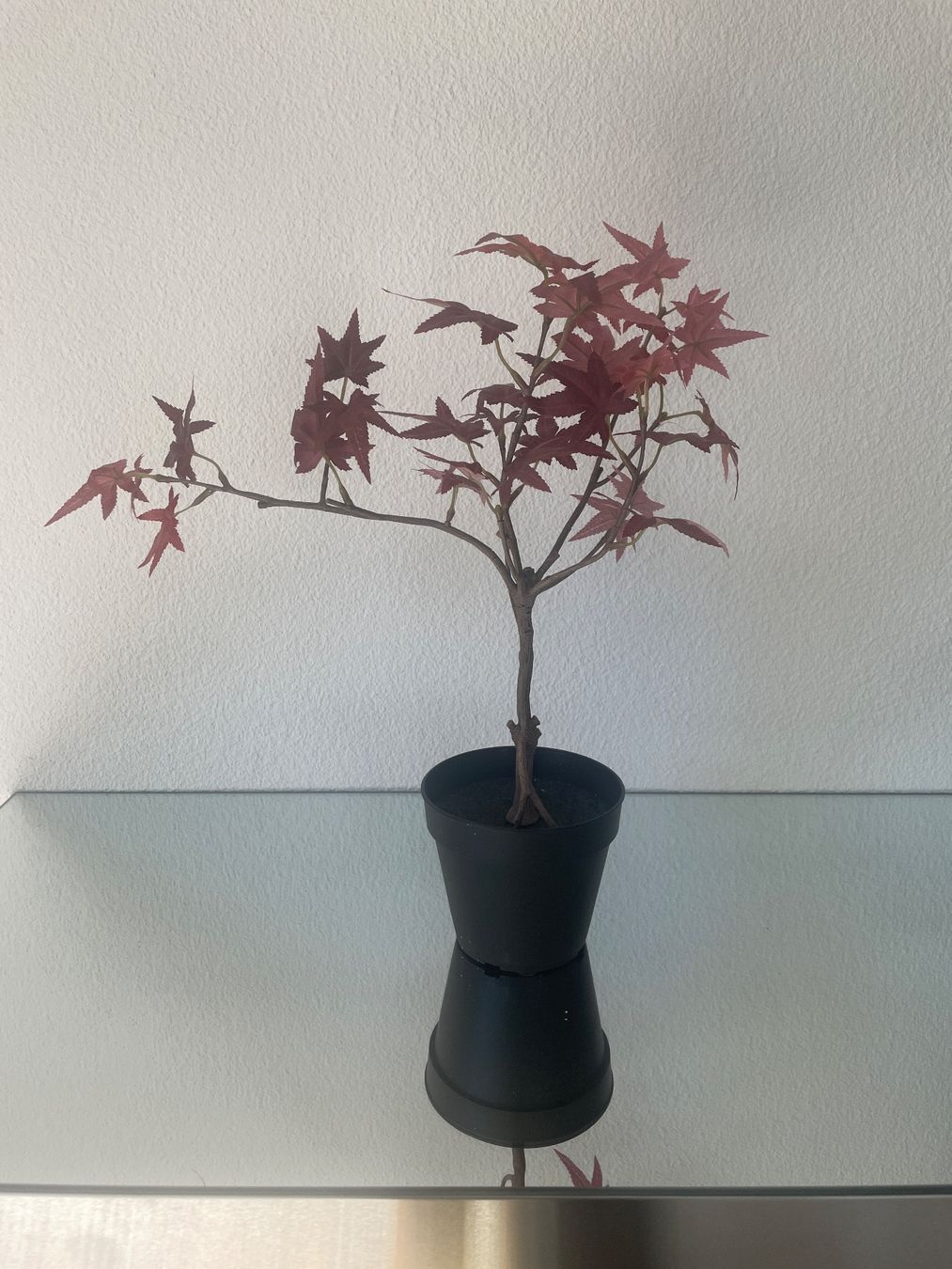 Tutte le decorazioni: Kunstblumen Roter Ahorn – Nuovo (secondo la descrizione) da Bellach venduto da cosmoderm