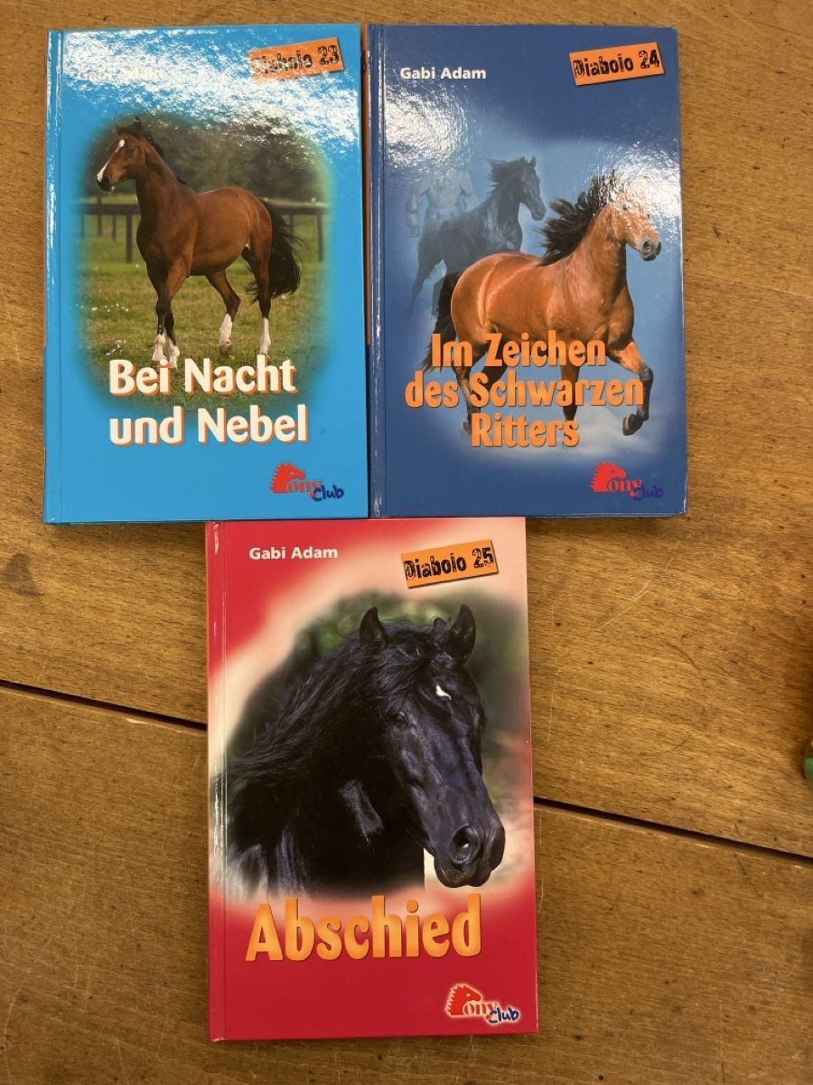 Libri: Pony Club Diabolo – Usato da Willisau venduto da AnNis_B. 3