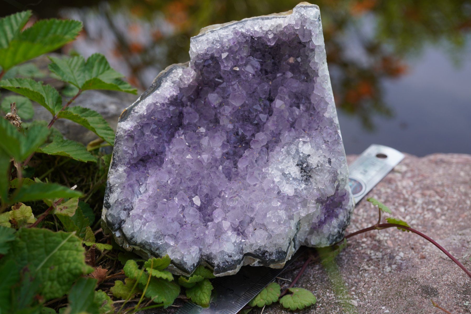 Minerali & Pietre curative: Amethyst Drusen Stück  ca 9cm x 10cm    no1 – Nuovo e nell'imballaggio originale da Eschenbach SG venduto da topstone 6
