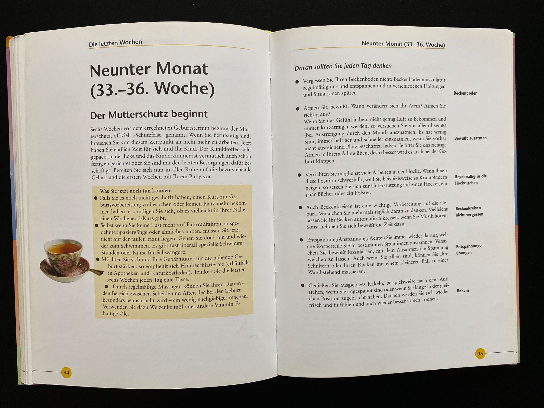 Libri: Schwangerschaft und Geburt / GU Ratgeber – Usato da Nussbaumen AG venduto da schuba2000 5