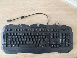 Gaming Tastatur Trust GXT schwarz gebraucht