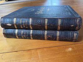 Altes und neues Testament, 1880-1900 mit Stahlstichen