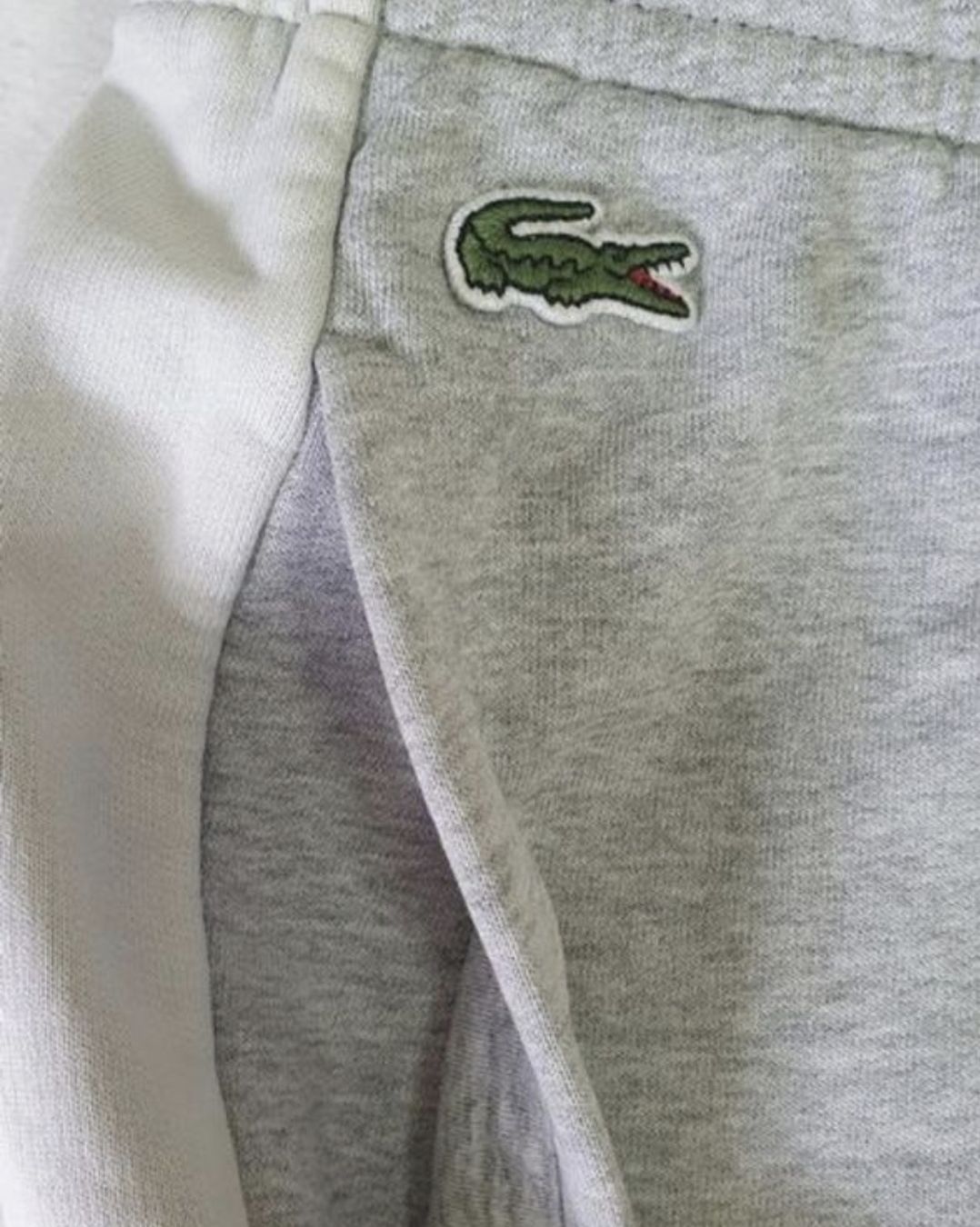 Lacoste Pantaloni: Lacoste sporthose G M – Usato da Maienfeld venduto da tobeyl2020 5