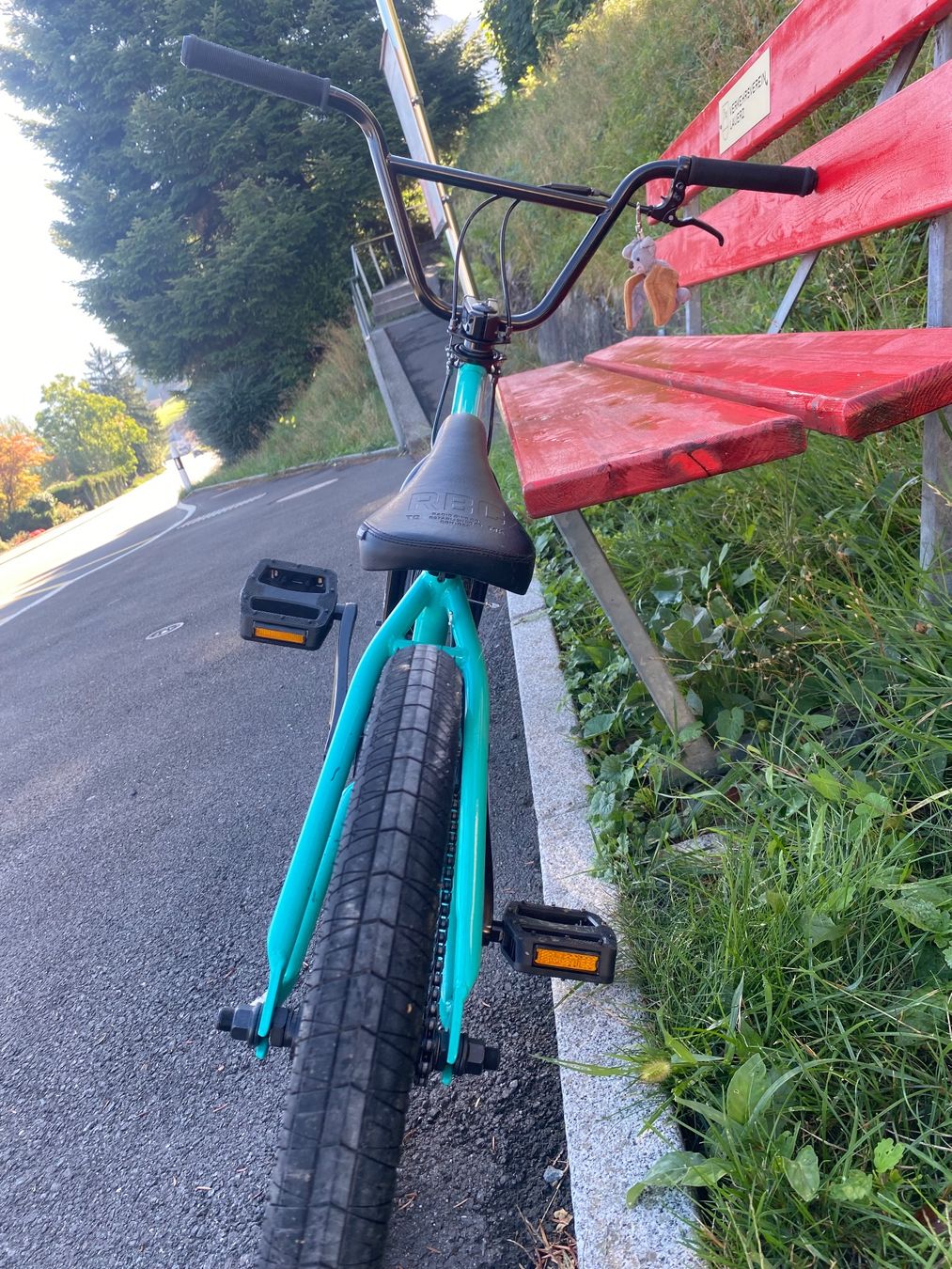 Biciclette: Radio BMX Revo Pro FS 20" – Usato da Lauerz venduto da verkauf13710 2