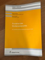 Grundriss des Strafprozessrechts