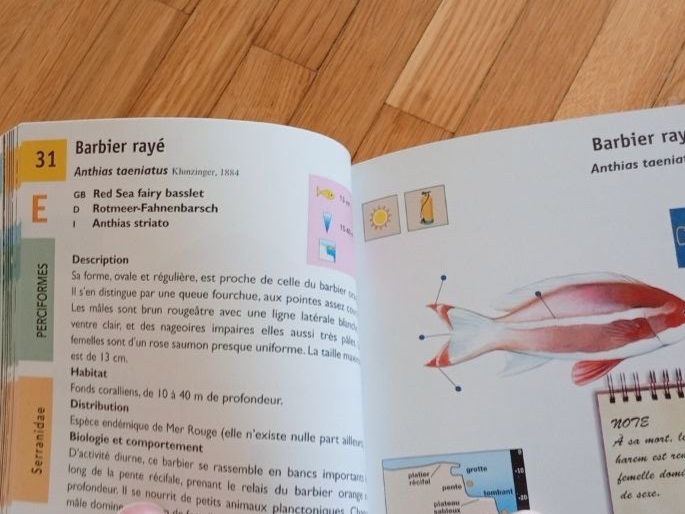 Libri: Set de 3 livres "les Poissons" – Usato da Gland venduto da M_marc 4